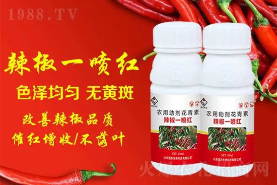 辣椒催紅增收專利產(chǎn)品!自然增紅零激素,色澤勻無黃斑