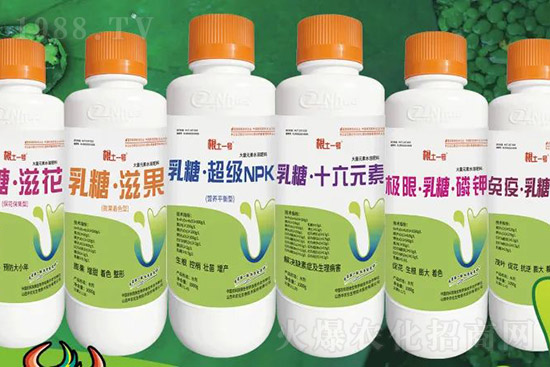 獼猴桃需肥特點(diǎn)有哪些？獼猴桃膨大肥怎么施