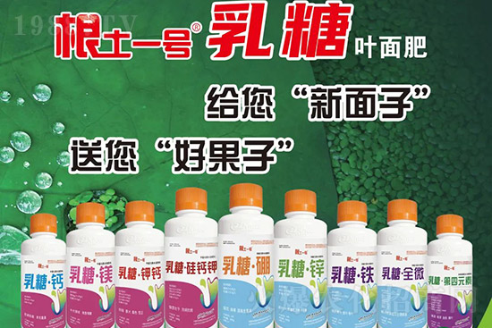 獼猴桃需肥特點(diǎn)有哪些？獼猴桃膨大肥怎么施