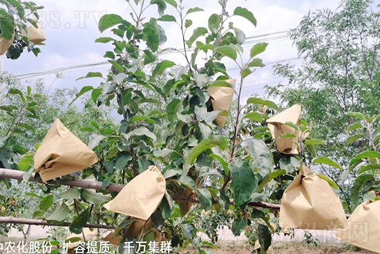     ����(sh��)�״���ɜp���r(n��ng)ˎ���������ƹ��ӵ����^Ʒ�|(zh��)���ɴ����߹�Ʒ�u�࣬�����׳��۲��u���߃r(ji��)�����Թ����״�Ŀǰ��Ȼ���҇����@����Ҫ�����������״��O��������Ǻ���Ҳ�ٲ�����