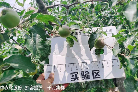     ����(sh��)�״���ɜp���r(n��ng)ˎ���������ƹ��ӵ����^Ʒ�|(zh��)���ɴ����߹�Ʒ�u���������׳��۲��u���߃r(ji��)�����Թ����״�Ŀǰ��Ȼ���҇����@����Ҫ�����������״��O��������Ǻ���Ҳ�ٲ�����