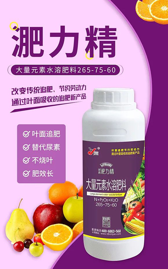 玉米追肥復(fù)合肥好還是尿素好？很多人都錯(cuò)了！它才是正確選擇