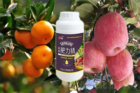 玉米追肥復(fù)合肥好還是尿素好？很多人都錯(cuò)了！它才是正確選擇