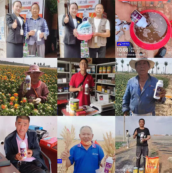 玉米追肥復(fù)合肥好還是尿素好？很多人都錯(cuò)了！它才是正確選擇