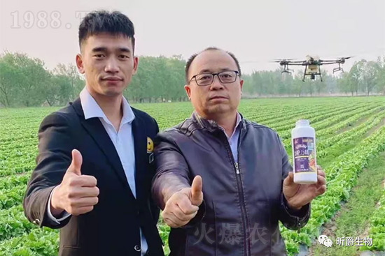 玉米追肥復(fù)合肥好還是尿素好？很多人都錯(cuò)了！它才是正確選擇