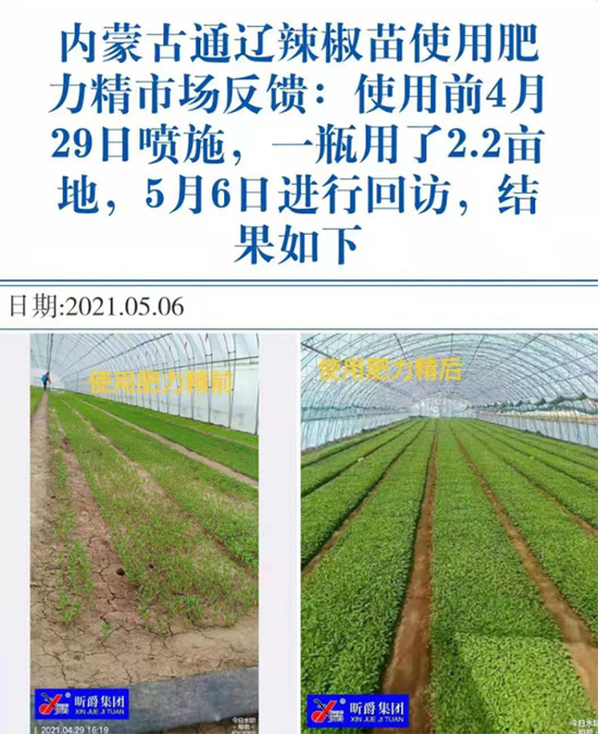 玉米追肥復(fù)合肥好還是尿素好？很多人都錯(cuò)了！它才是正確選擇