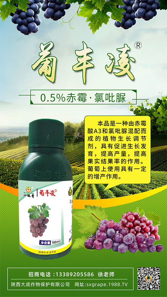 ���ѹ���ϡ�裬��С����(y��n)����ô�k���@Щ�����ஔ(d��ng)��Ҫ