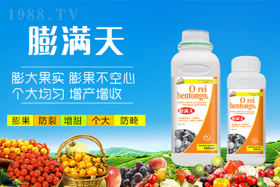 果實(shí)轉(zhuǎn)色膨果“新武器”！膨大防裂賣價(jià)高！提前上市7-12天！