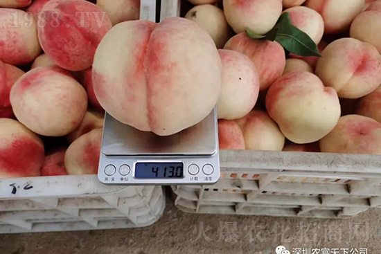 �Ҙ�(sh��)�����ô�k���Ҙ�(sh��)���ԭ���A(y��)������