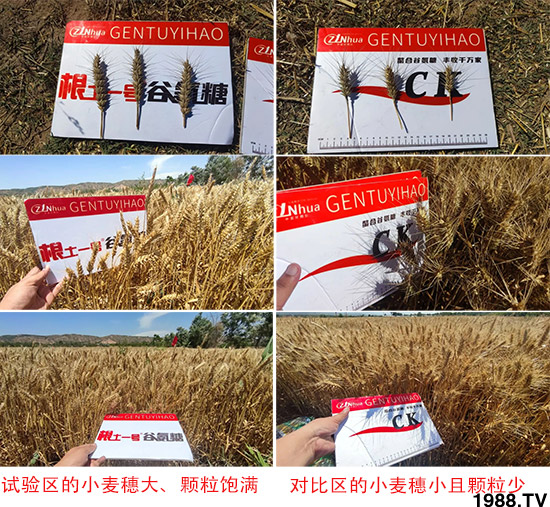 ɽ�����r�����＼�g�ɷ����޹�˾25