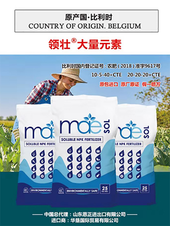 ��500�2000���߶��M�ڷʡ��ԃr�Ȱ�����