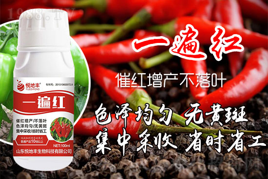 ������ʲôҪ���t���������t��ɫ�Ă�(g��)���Ӻ���