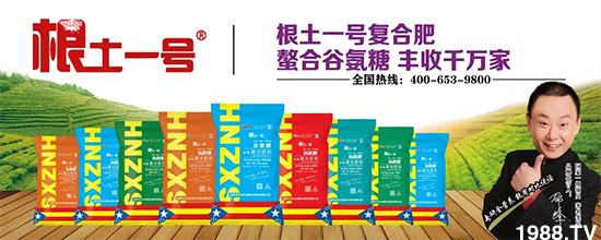 ɽ�����r�����＼�g�ɷ����޹�˾13