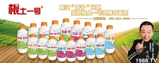 ɽ�����r�����＼�g�ɷ����޹�˾6