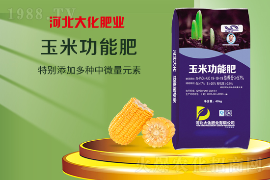 �ӱ��󻯷ʘI(y��)���޹�˾15