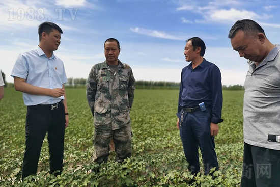 ���r(n��ng)���½������k��̎ؓ(f��)؟(z��)�ˣ�ͬ·ͬ�й��l(f��)չ