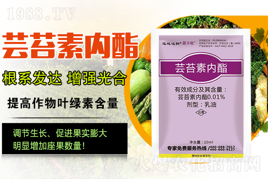 蕓苔素內(nèi)酯為啥被稱為植物救命藥？蕓苔素內(nèi)酯怎么選？