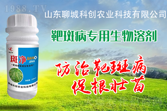 �S�ϰа߲�Σ��������أ����δ�ʩ����Щ��