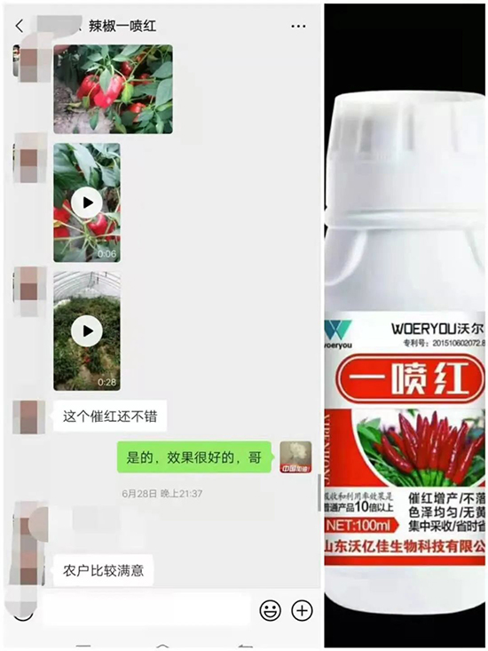 ���t�����95%���߼t�����~�����뷭�׷�����������һ���t��