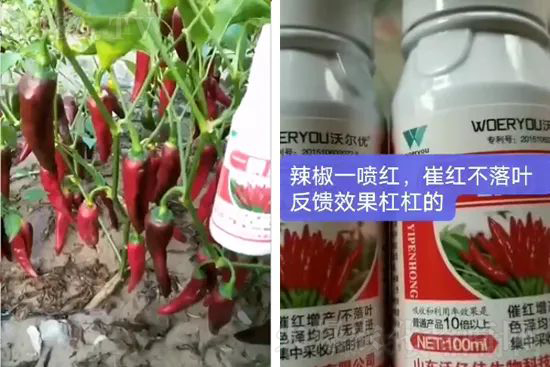 ���t�����95%���߼t�����~�����뷭�׷�����������һ���t��