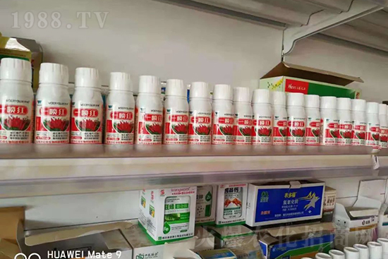 ���t�����95%���߼t�����~�����뷭�׷�����������һ���t��