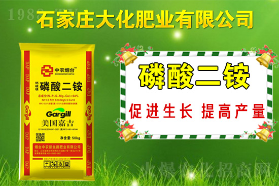 戰(zhàn)略合作再升級，石家莊大化肥業(yè)再次簽約1988.TV！