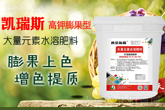     ���M(j��n)���������ɫ���@��(g��)�䷽��(zh��n)�](m��i)�e(cu��)���������|(zh��)���a(ch��n)��