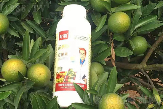 �t���ء�ֻ���D(zhu��n)ɫ�������D(zhu��n)ɫ�����ߣ��߼t���ó���