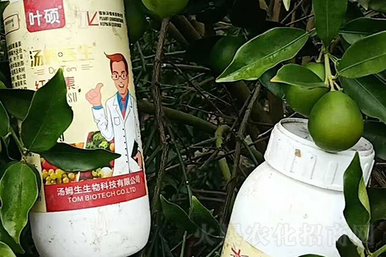 �t���ء�ֻ���D(zhu��n)ɫ�������D(zhu��n)ɫ���������߼t���ó