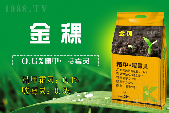 ���ս���������v1988.TV���_���W(w��ng)�j������������