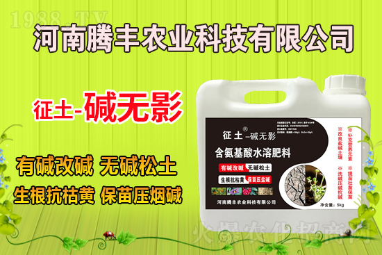 �v�S�r(n��ng)�I(y��)