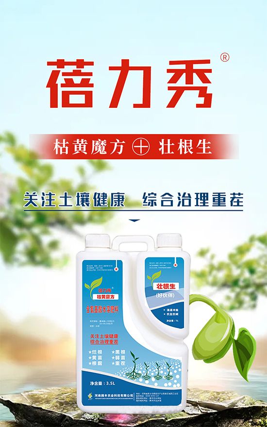 �v�S�r(n��ng)�I(y��)