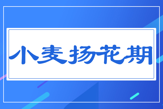 С���P(y��ng)����