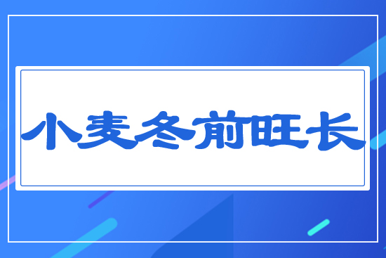 С����ǰ���L