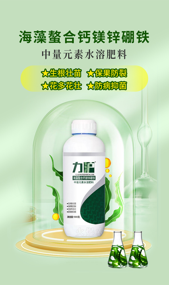 ɽ�|��������Ƽ����޹�˾_01