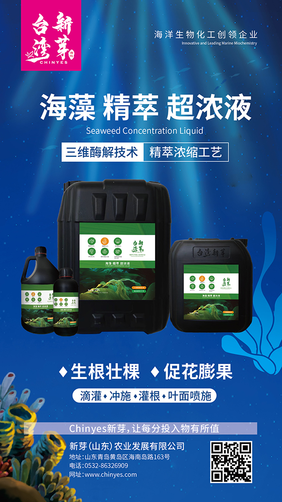 ���徫�ͳ���Һ-�_(t��i)����ѿ4