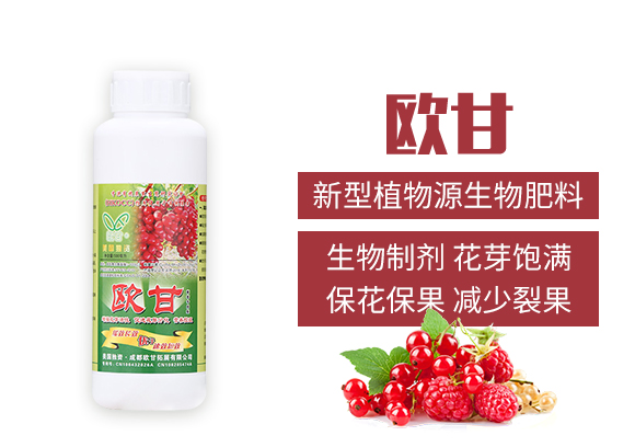 成都歐甘拓展有限公司_02