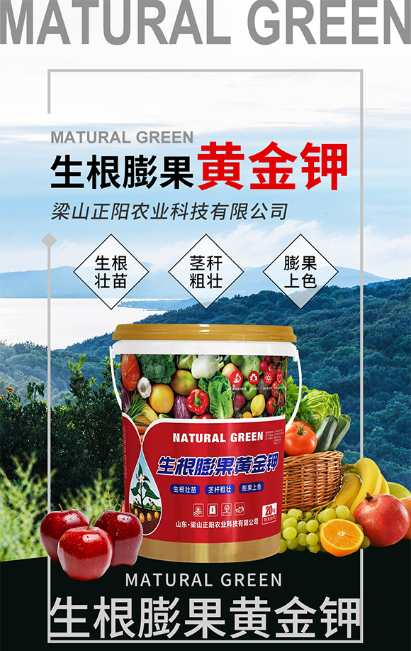 ��ɽ���(y��ng)�r(n��ng)�I(y��)�Ƽ����޹�˾_01