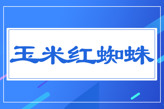 ���׼t֩��