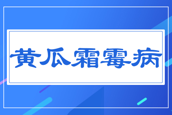 �S��˪ù��