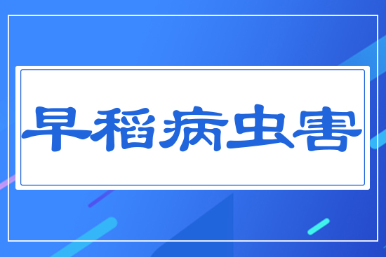 早稻病蟲害