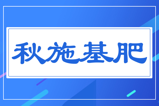 ��ʩ����