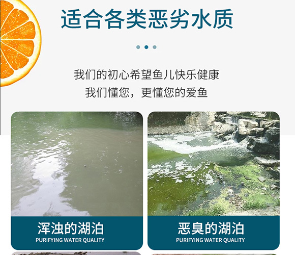 ���ɵ׸ă�ˮ��-��������_03