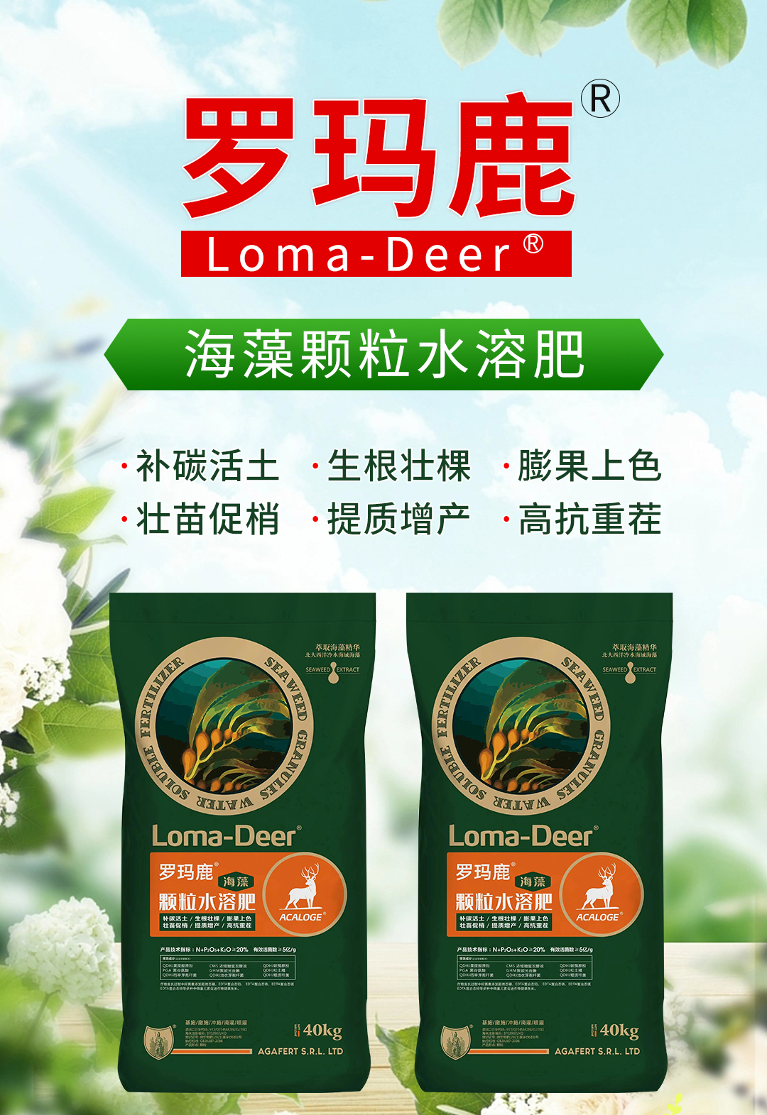 ���u���L�M�������޹�˾03