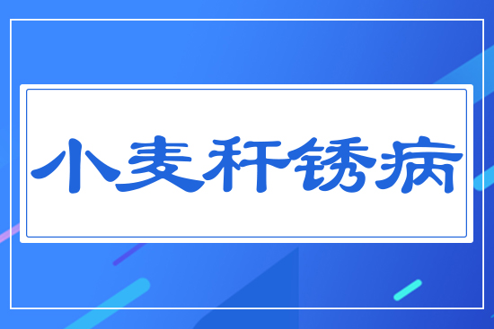 С�����P��