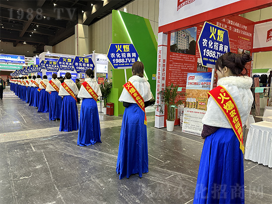 �𱬾W(w��ng)��Ů�Y�x���������2024��ԭ�r(n��ng)�Y�p������