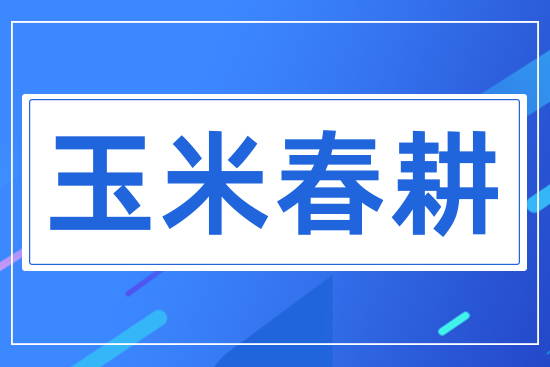 玉米春耕