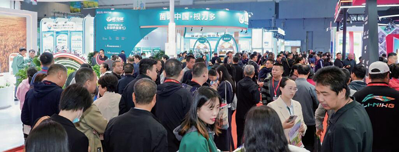 QQ截圖20260417083801