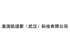 武漢凱諾斯科技有限公司