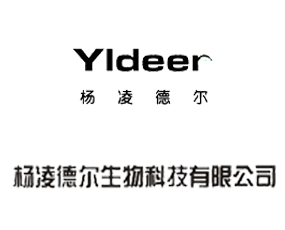 �����?t��ng)�����Ƽ����޹��? width=